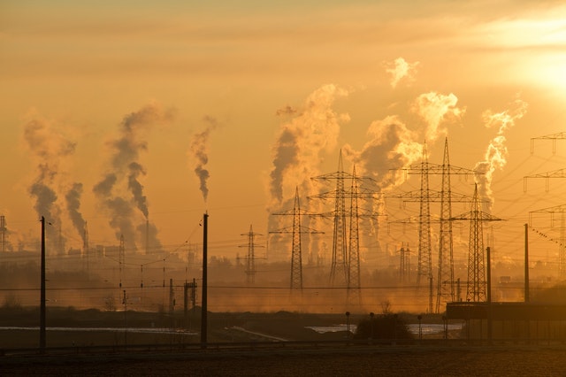 Toxinas ambientales