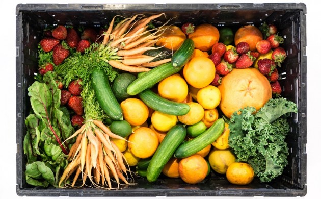alimentos orgánicos
