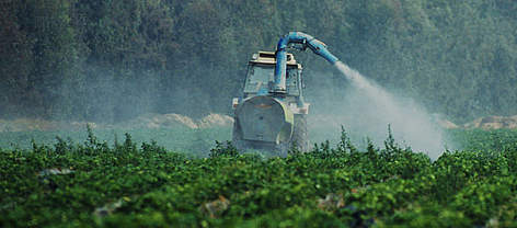 pesticidas