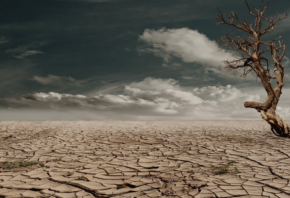 cambio climático