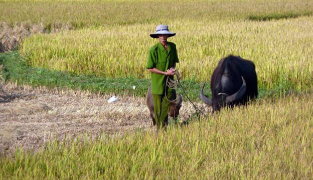 Cambio climático en Vietnam