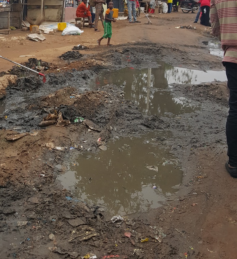 Nigeria y la degradación ambiental