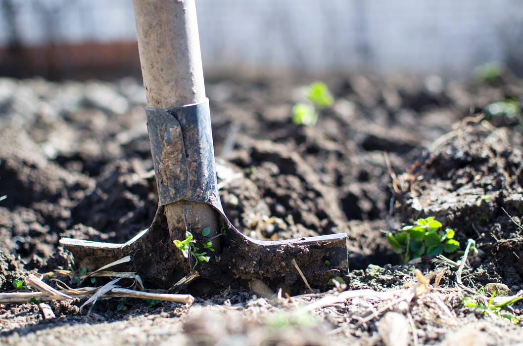 agricultura