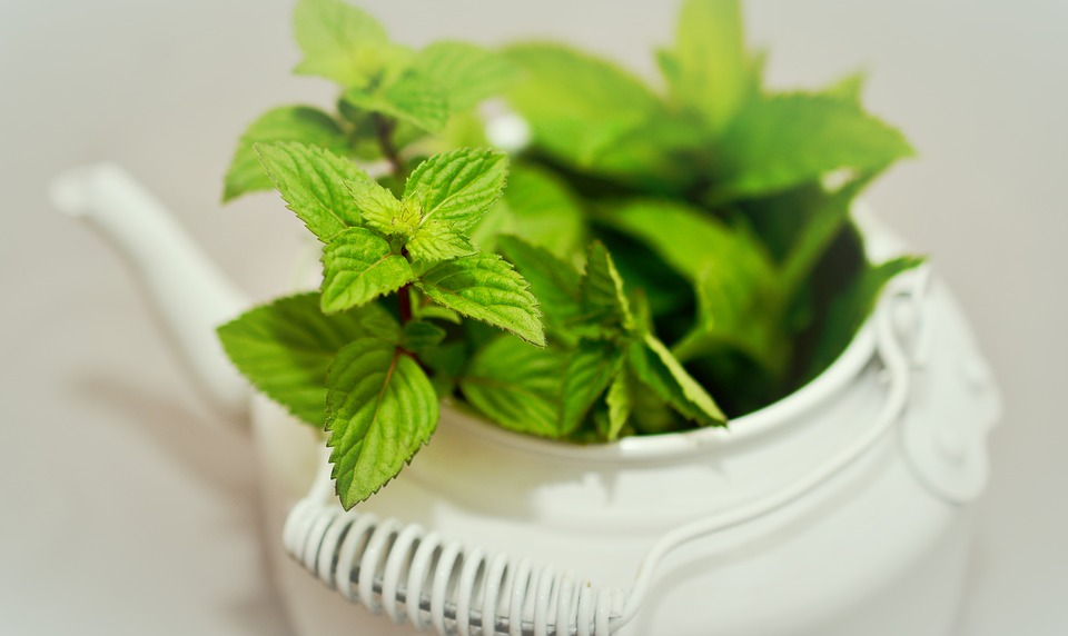 té verde