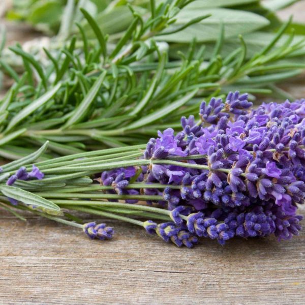 10-consejos-y-productos-de-belleza-caseros-para-engrosar-el-cabello-de-forma-natural