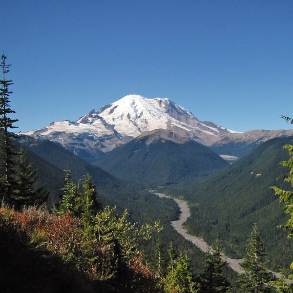 10-datos-interesantes-sobre-el-parque-nacional-monte-rainier