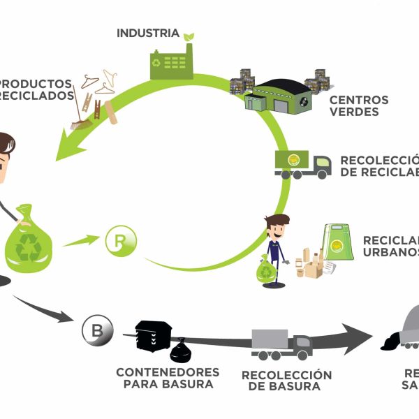 10-ideas-de-negocios-verdes-blog-de-medio-ambiente