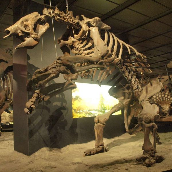10-lugares-arruinados-por-catastrofes-causadas-por-humanos