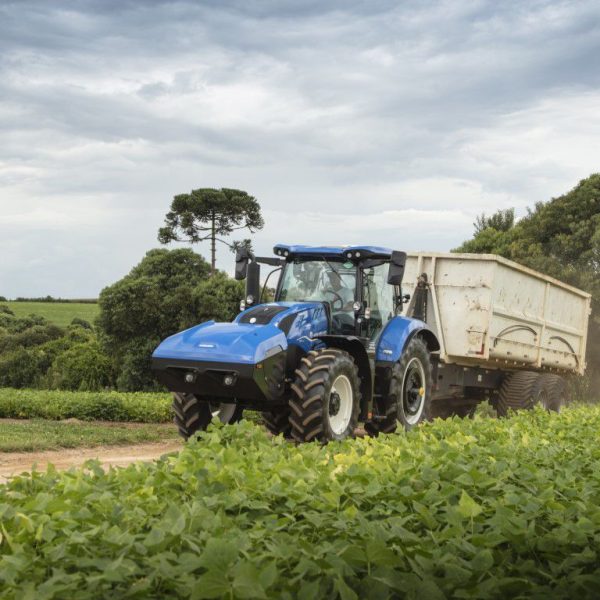 12-granjas-de-historia-viva-que-retroceden-en-el-tiempo
