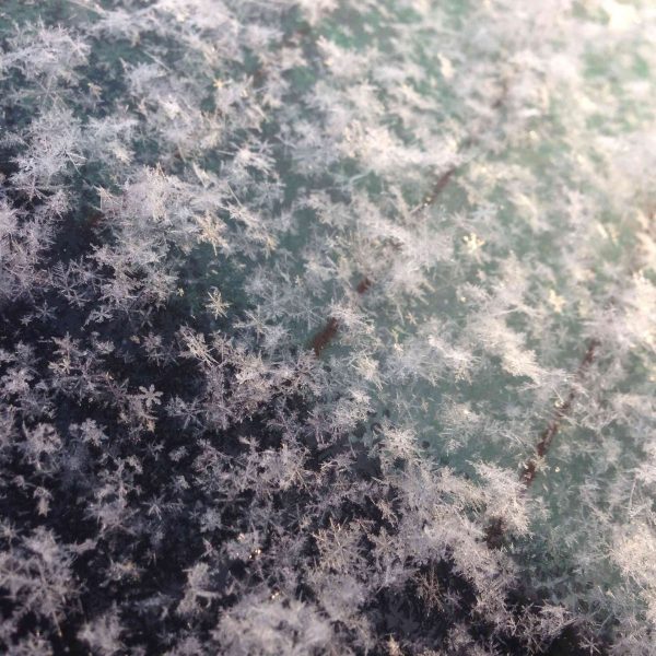 13-copos-de-nieve-perfectos-capturados-en-fotos