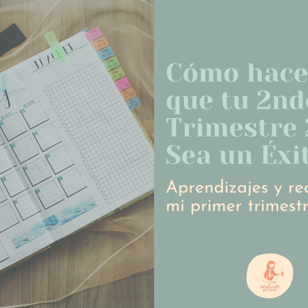 3-actividades-de-invierno-enriquecedoras-para-emprendedores-ecoorientados
