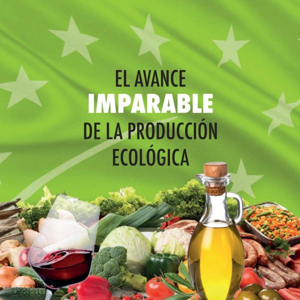 3-movimientos-ecologicos-que-son-buenos-para-la-tierra-y-su-billetera