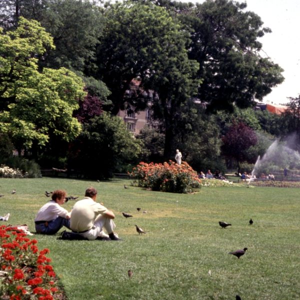 5-cosas-que-los-jardineros-sostenibles-nunca-deben-hacer