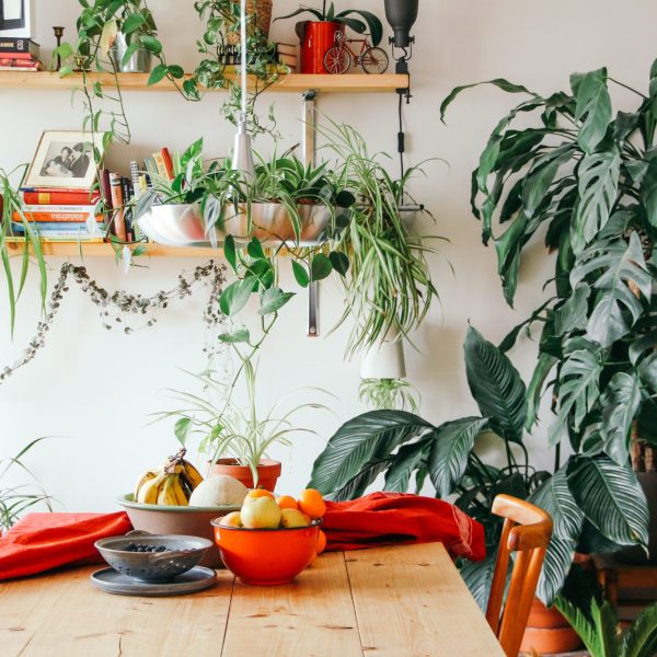 5-formas-elegantes-y-ecologicas-de-mejorar-el-aspecto-de-su-jardin