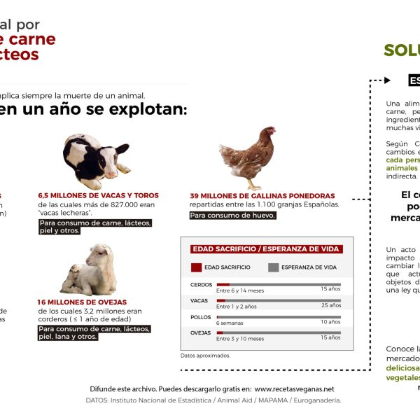 5-razones-para-volverse-vegano-que-podrian-ayudar-al-planeta