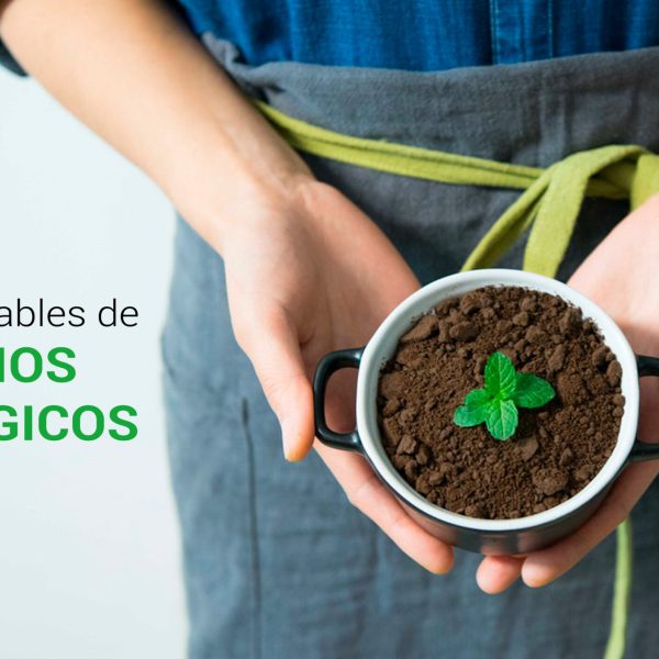 6-formas-sencillas-de-crear-un-negocio-ecologico