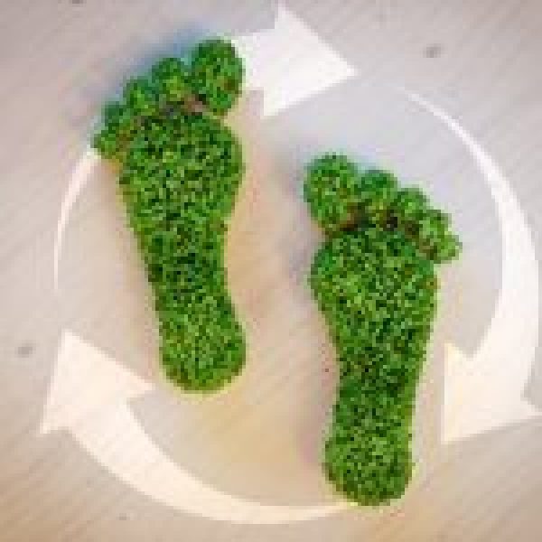 Self-Sustainable-Living-3-Smart-Ways-to-Break-Away-From-the-Grid-150x150.jpg