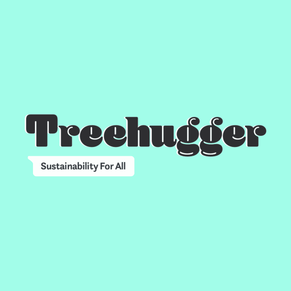 Treehugger-Share-Image-9548915b4a574030b3b877572e8abe97.png