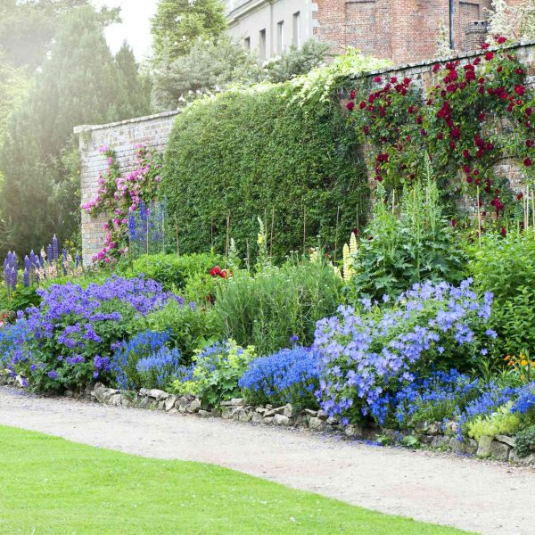 adiciones-al-jardin-de-vida-silvestre-que-realmente-funcionan
