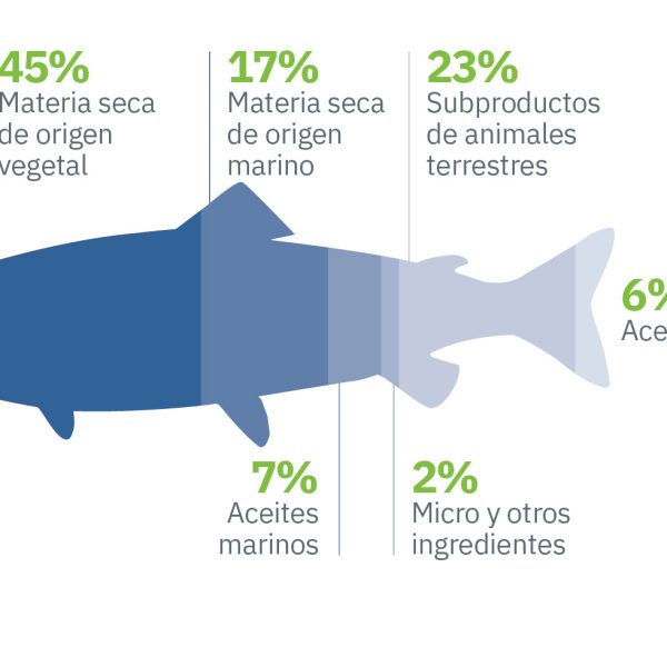 alimentar-al-mundo-el-futuro-prometedor-de-la-acuicultura-sostenible