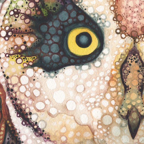 animales-espirituales-hawaianos