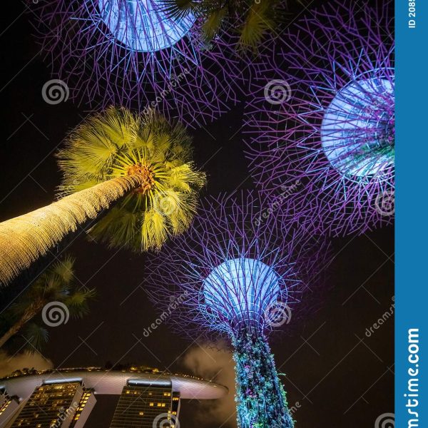 arboles-resplandecientes-como-futuras-luces-de-la-calle