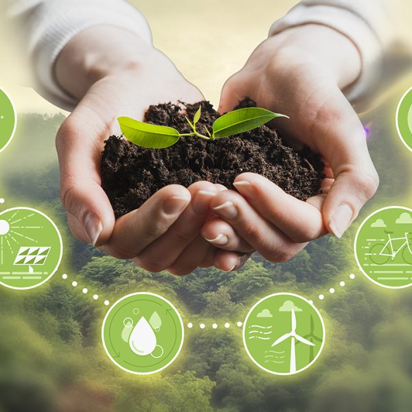 articulos-sostenibles-que-necesita-the-environmental-blog