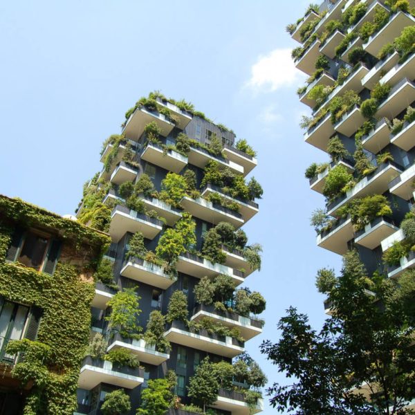 cambia-nuestra-vision-de-la-arquitectura-cuando-hablamos-de-carbono-no-de-energia