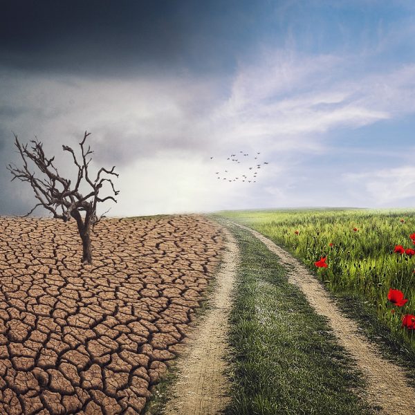 cambio-climatico-y-pobreza-the-environmental-blog