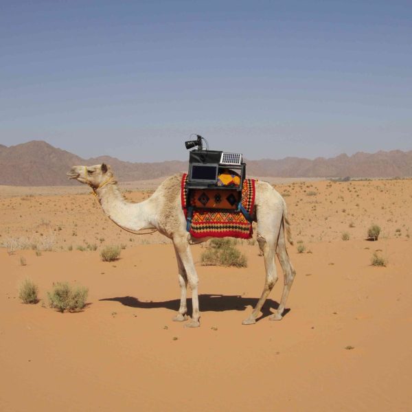 camel-ayuda-a-los-fotografos-a-capturar-imagenes-en-el-desierto