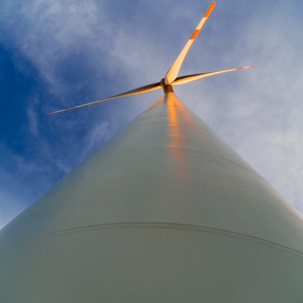 casi-la-mitad-de-la-electricidad-de-dinamarca-en-2019-provino-de-la-energia-eolica