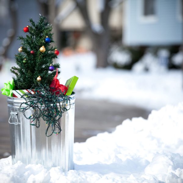 christmas-tree-in-the-garbage-183512107-1471f82af2f14cd69efa0a231c89b8a2.jpg