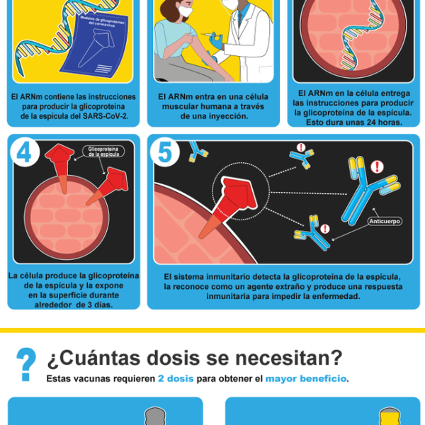 como-funcionan-y-que-esperar