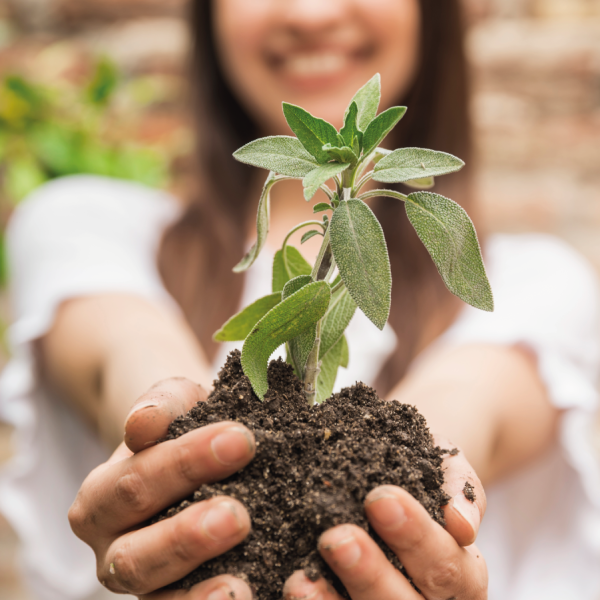 como-puede-going-green-ayudar-al-medio-ambiente