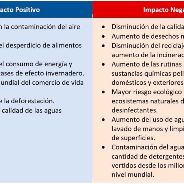 como-puede-tener-un-impacto-positivo-en-el-medio-ambiente