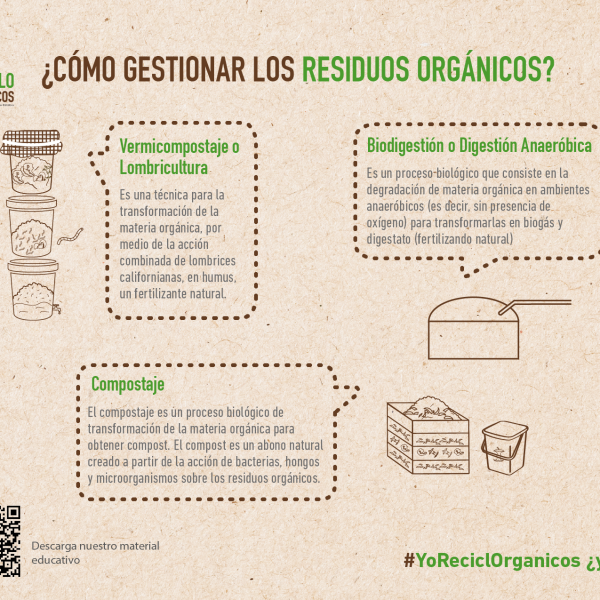 como-reciclar-los-desechos-de-alimentos