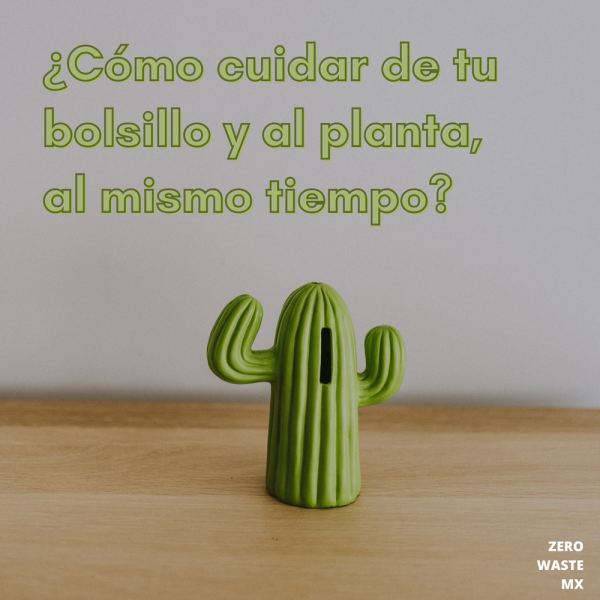 como-ser-ecologico-realmente-lo-ayuda-a-ahorrar-dinero