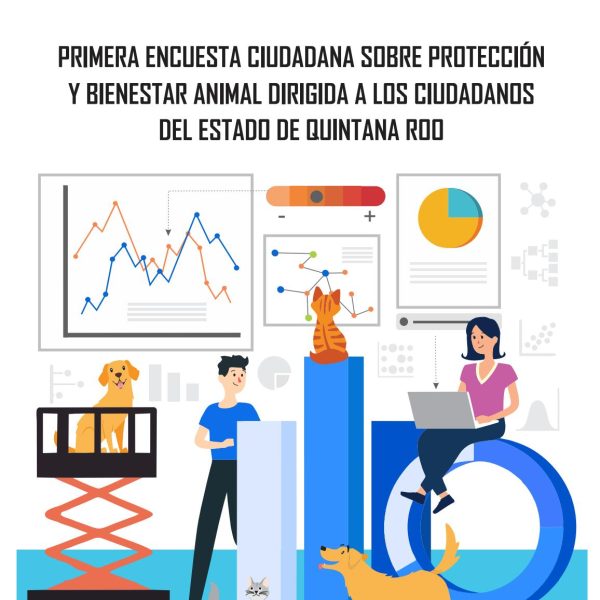 como-tomar-decisiones-mas-ecologicas-en-lo-que-respecta-al-cuidado-de-las-mascotas