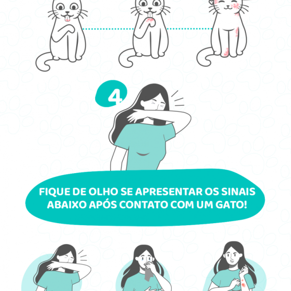 como-tratar-a-los-gatos-con-alergias