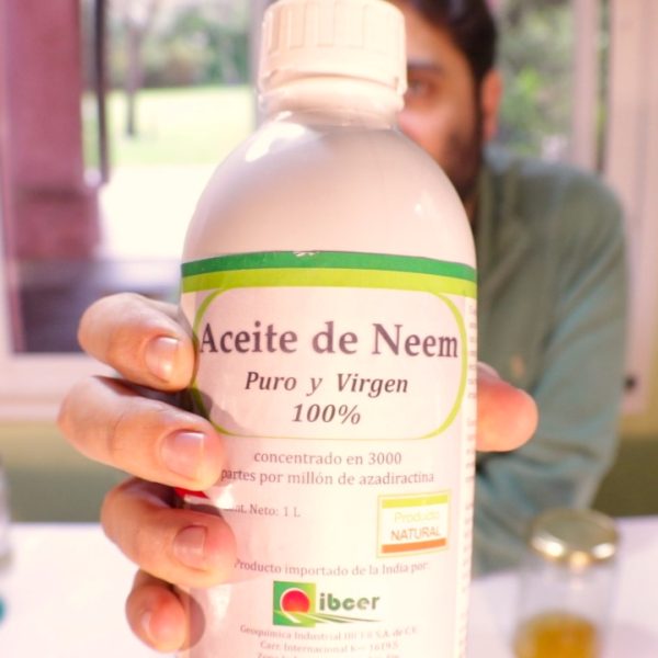 como-usar-aceite-de-neem-casero-sin-danar-a-las-abejas