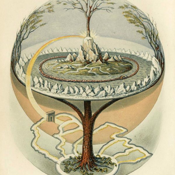 conoce-al-hermoso-y-extraordinario-arbol-que-sobrevivio-al-11-de-septiembre