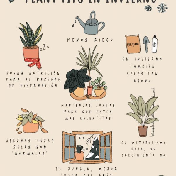 consejos-para-el-cuidado-de-las-plantas-hibernacion-y-mas