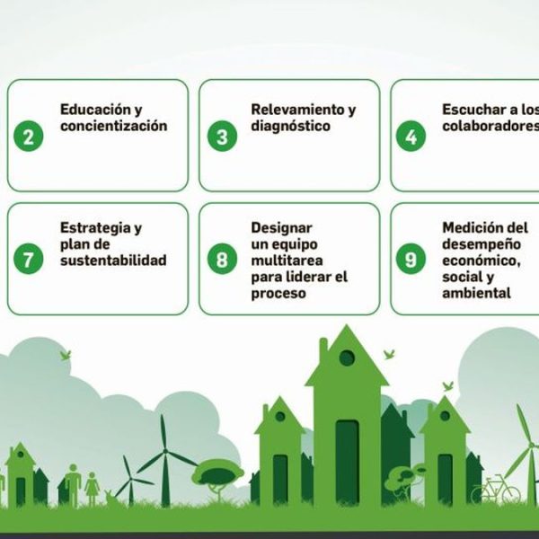 consejos-para-empresas-que-adoptan-un-nuevo-enfoque-ecologico