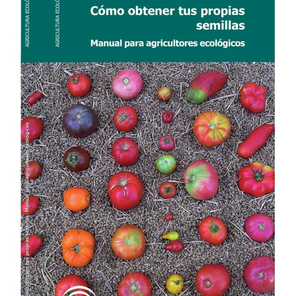consejos-utiles-para-regenerar-la-lechuga-romana-desde-el-fondo-del-tocon