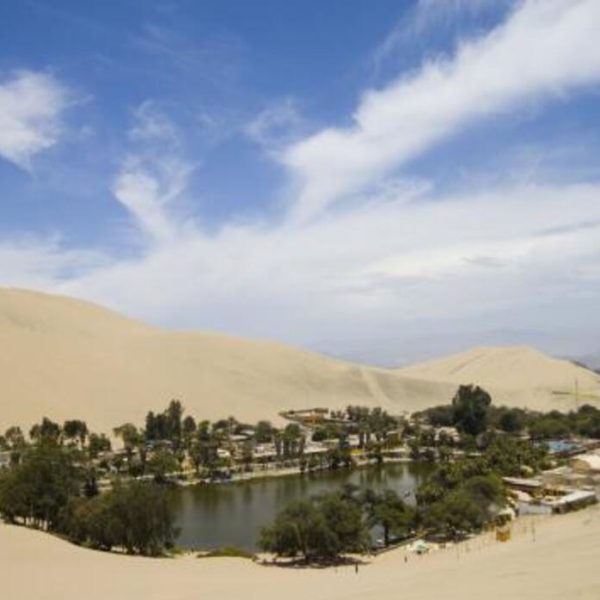 contempla-la-belleza-unica-de-un-verdadero-oasis-en-el-desierto