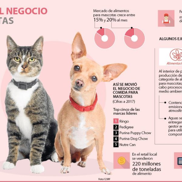cuales-son-sus-productos-ecologicos-favoritos-para-mascotas