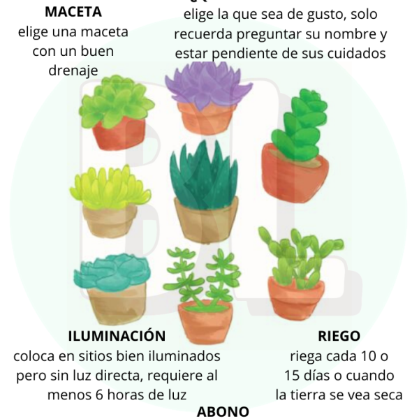 cuidado-de-plantas-variedades-y-consejos