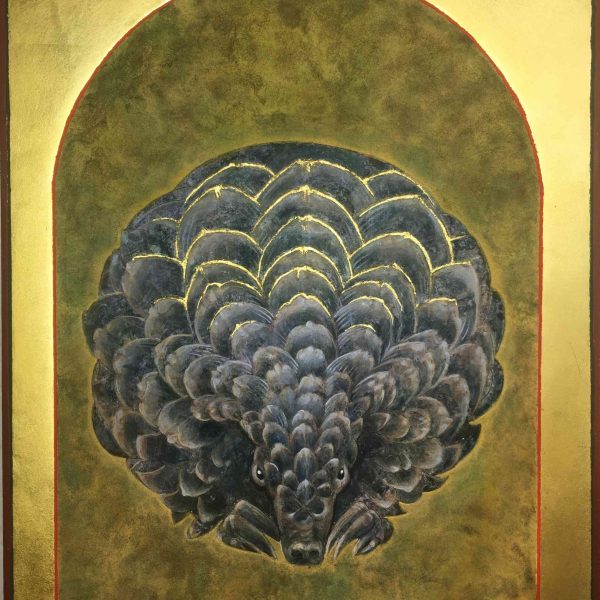 diminuto-pez-superheroe-redescubierto-despues-de-casi-50-anos