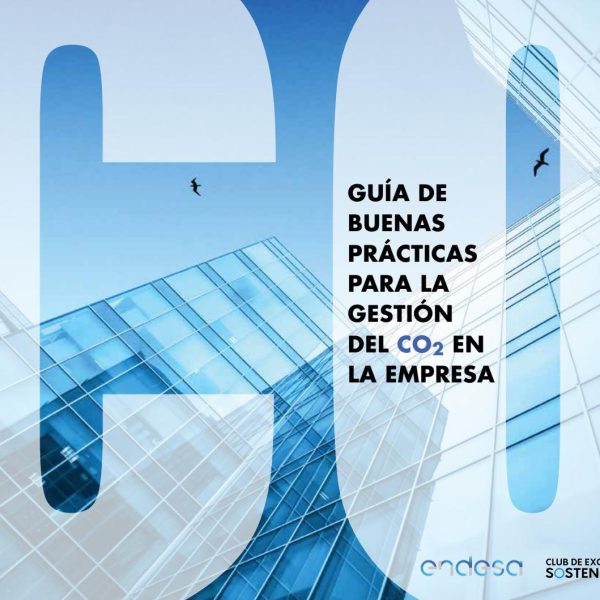 directrices-simples-para-reducir-las-emisiones-diarias-de-carbono
