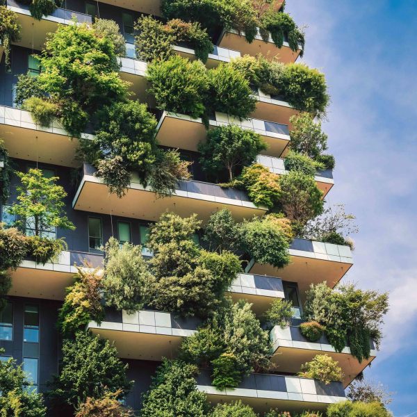 el-diseno-de-edificios-ecologicos-es-el-futuro-del-ambientalismo-y-la-sostenibilidad